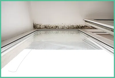 Coral Gables Emergency Restoration Coral Gables, FL 786-369-0584 - contetn-mold