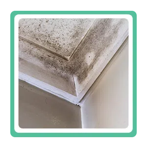 Coral Gables Emergency Restoration Coral Gables, FL 786-369-0584 Coral Gables Emergency Restoration Coral Gables, FL 786-369-0584 - sb-ser-03
